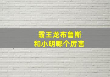 霸王龙布鲁斯和小明哪个厉害