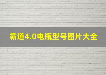 霸道4.0电瓶型号图片大全