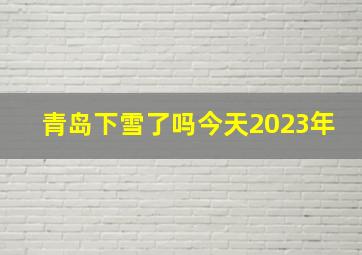 青岛下雪了吗今天2023年