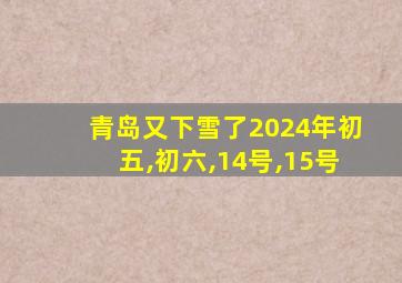 青岛又下雪了2024年初五,初六,14号,15号