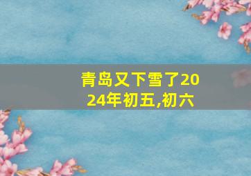 青岛又下雪了2024年初五,初六