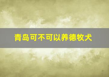 青岛可不可以养德牧犬