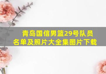 青岛国信男篮29号队员名单及照片大全集图片下载