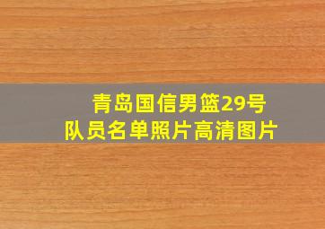 青岛国信男篮29号队员名单照片高清图片