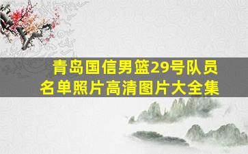 青岛国信男篮29号队员名单照片高清图片大全集