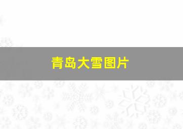 青岛大雪图片