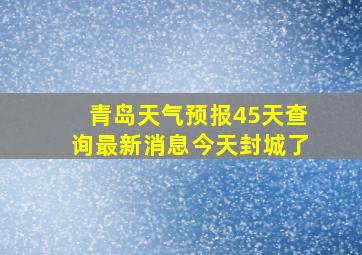 青岛天气预报45天查询最新消息今天封城了