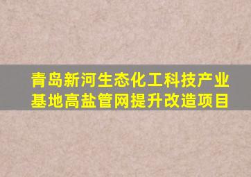 青岛新河生态化工科技产业基地高盐管网提升改造项目