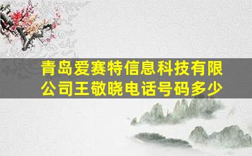 青岛爱赛特信息科技有限公司王敬晓电话号码多少