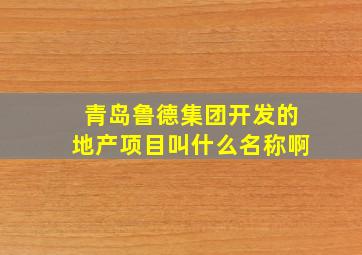 青岛鲁德集团开发的地产项目叫什么名称啊