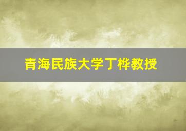 青海民族大学丁桦教授