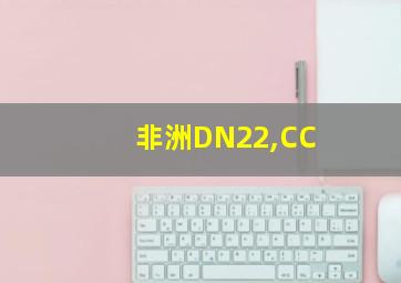 非洲DN22,CC