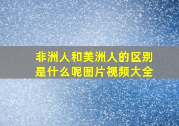 非洲人和美洲人的区别是什么呢图片视频大全