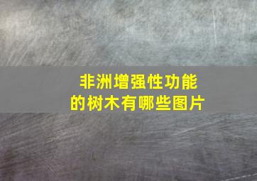 非洲增强性功能的树木有哪些图片