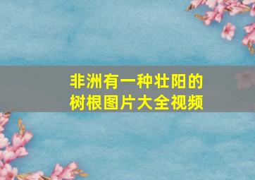 非洲有一种壮阳的树根图片大全视频