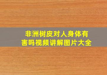 非洲树皮对人身体有害吗视频讲解图片大全