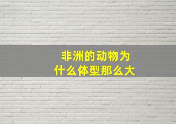 非洲的动物为什么体型那么大