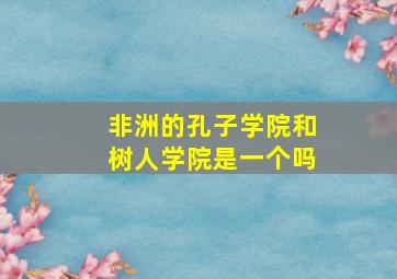 非洲的孔子学院和树人学院是一个吗