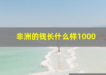 非洲的钱长什么样1000