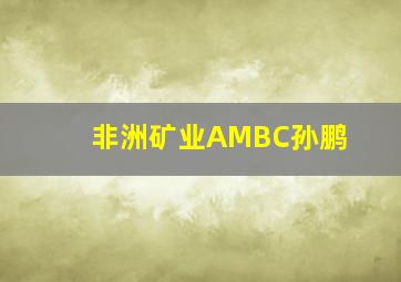 非洲矿业AMBC孙鹏