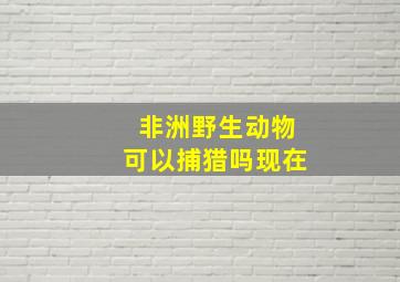 非洲野生动物可以捕猎吗现在