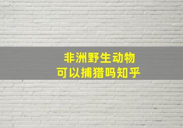 非洲野生动物可以捕猎吗知乎