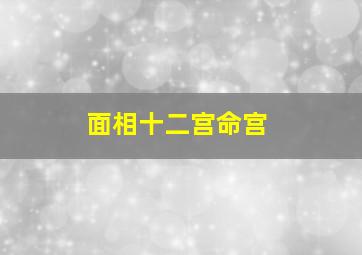 面相十二宫命宫