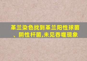 革兰染色找到革兰阳性球菌、阴性杆菌,未见吞噬现象