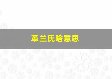 革兰氏啥意思