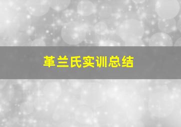 革兰氏实训总结