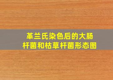 革兰氏染色后的大肠杆菌和枯草杆菌形态图