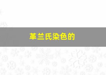 革兰氏染色的