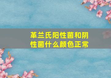 革兰氏阳性菌和阴性菌什么颜色正常