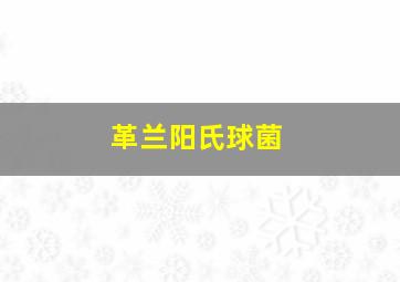 革兰阳氏球菌