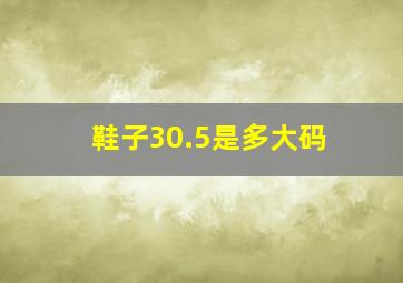 鞋子30.5是多大码