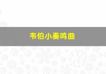 韦伯小奏鸣曲