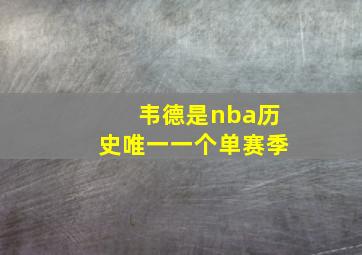 韦德是nba历史唯一一个单赛季