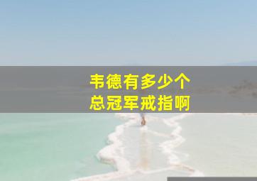 韦德有多少个总冠军戒指啊