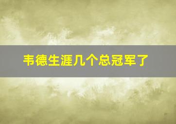 韦德生涯几个总冠军了