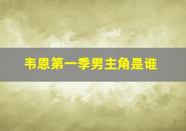 韦恩第一季男主角是谁