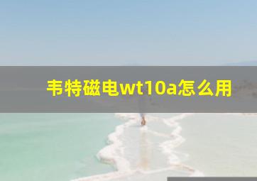 韦特磁电wt10a怎么用