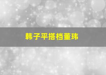 韩子平搭档董玮