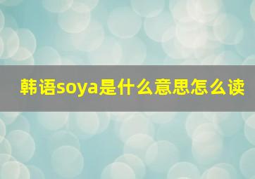 韩语soya是什么意思怎么读