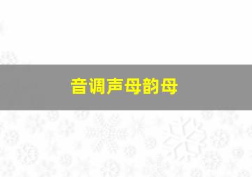 音调声母韵母