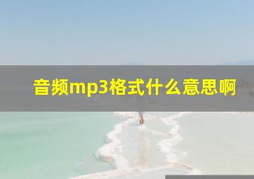 音频mp3格式什么意思啊