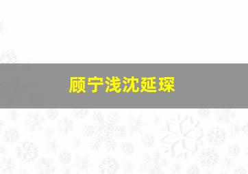 顾宁浅沈延琛