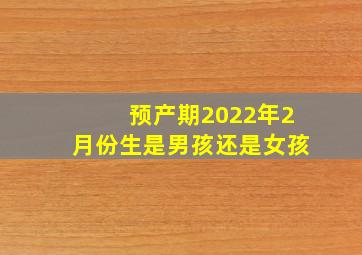 预产期2022年2月份生是男孩还是女孩