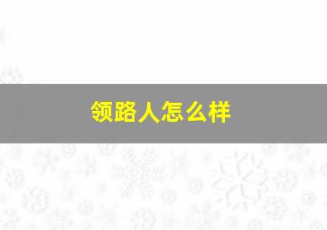 领路人怎么样