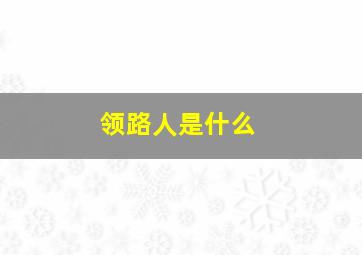 领路人是什么