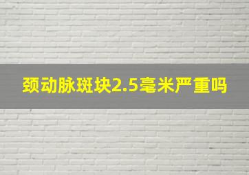 颈动脉斑块2.5毫米严重吗